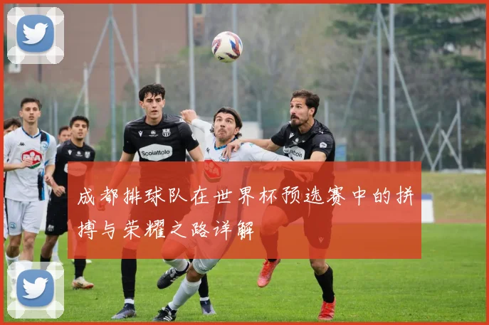 成都排球队在世界杯预选赛中的拼搏与荣耀之路详解